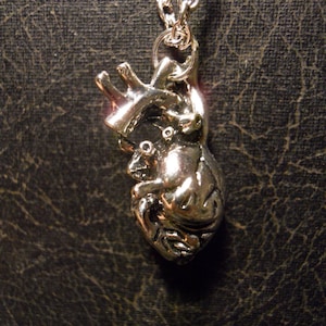 Realistic Human Heart Anatomical 3D Cardiac Anatomically Correct Chamber Valentine Love Heartbeat Necklace
