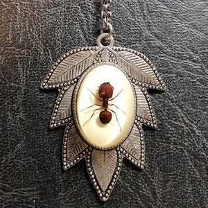 Giant Red Ant Specimen Leaf Cameo Resin Entomology Bug Real Big Head Ants Necklace Picnic Crasher Vulture Culture
