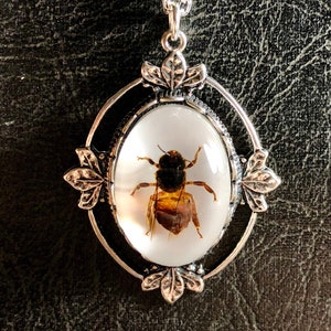 Simple Honey Bee Specimen on Open Halo Frame with Leaves Bezel in Resin Insect Cameo Entomology Bug Necklace