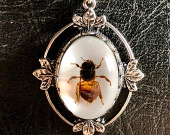 Simple Honey Bee Specimen on Open Halo Frame with Leaves Bezel in Resin Insect Cameo Entomology Bug Necklace