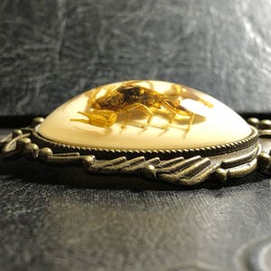 Huge Real Golden Yellow Scorpion Specimen in White Resin Cameo Flower Scroll Entomology Vulture Culture Bug Necklace image 4