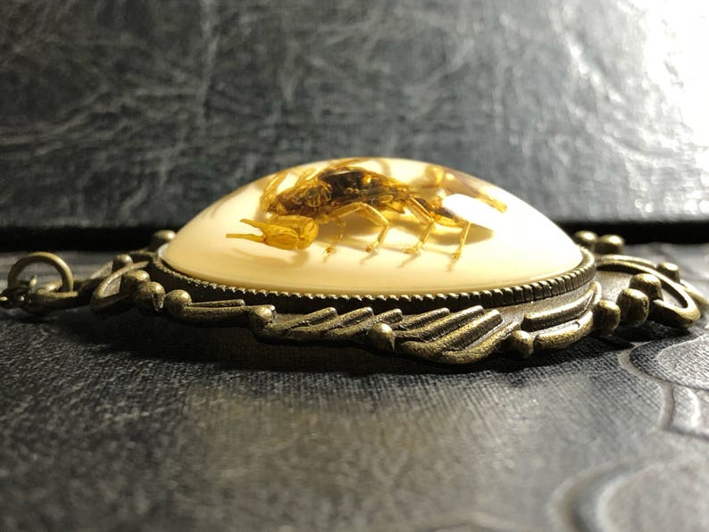 Huge Real Golden Yellow Scorpion Specimen in White Resin Cameo Flower Scroll Entomology Vulture Culture Bug Necklace image 4