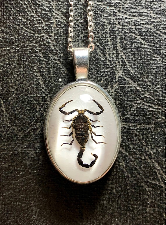 Black scorpion necklace discount