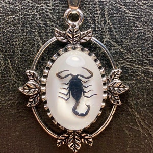 Skorpion Schwarzer Skorpion Blatt Halo Entomologie Totes Insekt Bug Specimen in Resin Cameo Halskette
