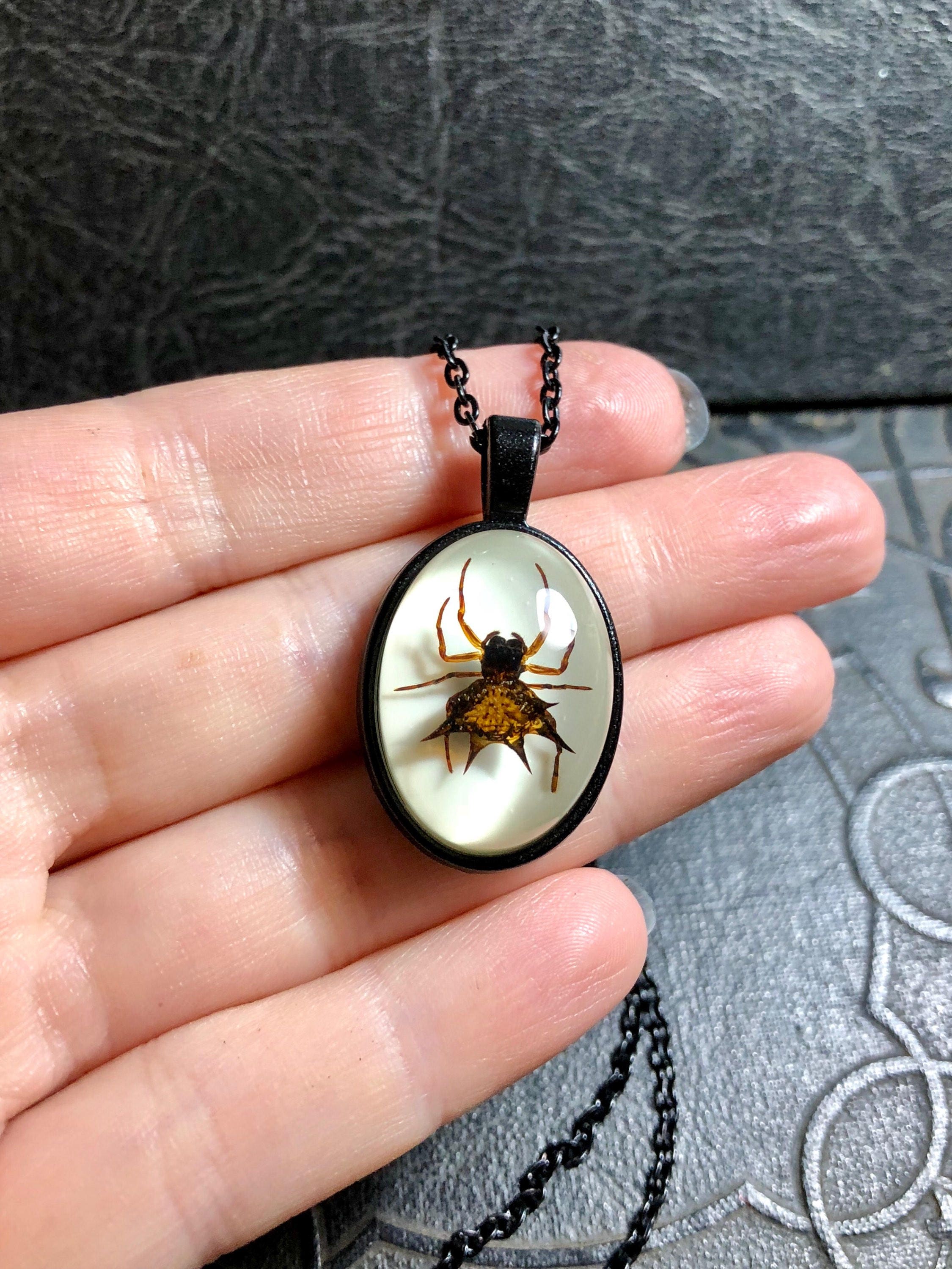 Simple Black Spiny Orb Weaver Spider Specimen in Plain Resin Simple Black Spiny Orb Weaver Spider Specimen in Plain Resin