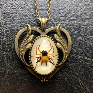 Bronze Heart Real Spider Spiny Orb Weaver  Specimen in Resin Cameo Necklace Vulture Culture Arachnophobia Baroque Jewelry