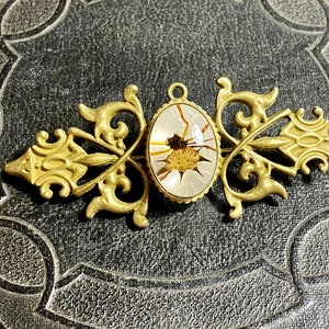 Wide Open Framed Real Orb Weaver Spider Brooch Preserved Arachnid Specimen in Resin Cameo Vulture Culture Entomology Pin