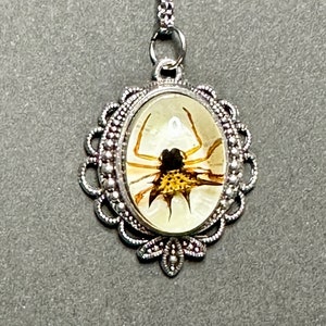 May include: A silver pendant necklace with a clear oval cameo featuring a preserved spider.