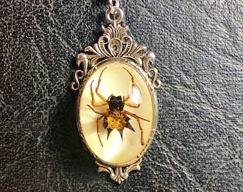 Real Spider Spiny Orb Weaver Specimen in Resin Cameo Necklace Vulture Culture Arachnophobia Silver Tone Jewelry