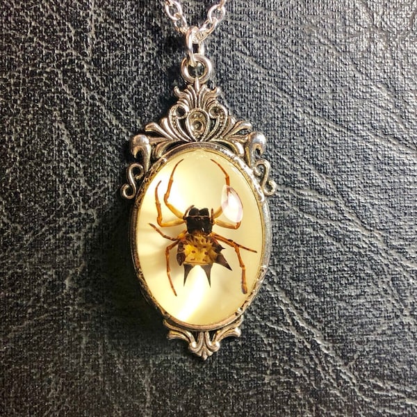 Real Spider Spiny Orb Weaver Specimen in Resin Cameo Necklace Vulture Culture Arachnophobia Silver Tone Jewelry