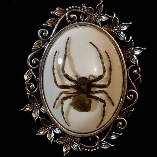 Broche florale ornée grand spécimen d'araignée fantôme en résine arachnide camée entomologie épingle gothique ou collier de culture vautour