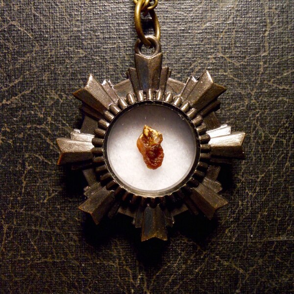Ornate Tiny Preserved Lizard Reptile Heart Specimen Ossuary Taxidermy