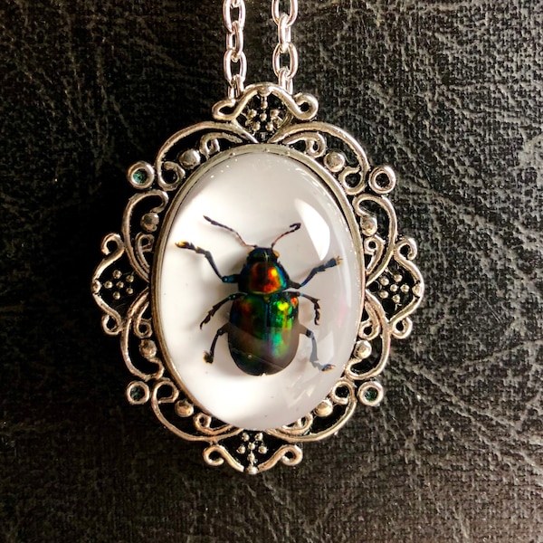 Echte bladkever regenboog insect geconserveerd exemplaar in hars camee zilveren veterlijst giercultuur statement bug ketting