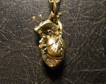 Bronze Gold Realistic Human Heart Anatomical Cardiac Love Token Medical Interest Necklace