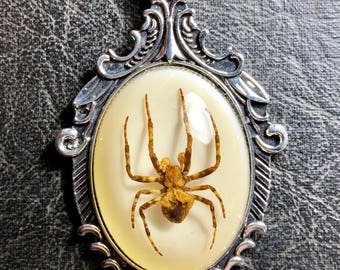 Silver Scroll Ghost Spider Specimen in Resin Cameo Vulture Culture Arachnid Real Insect Baroque Style Necklace