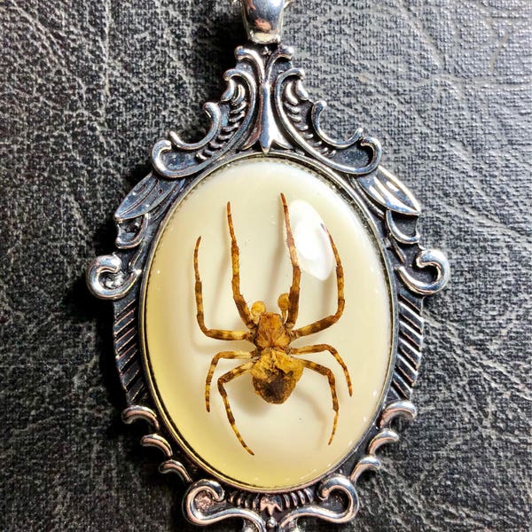 Silver Scroll Ghost Spider Specimen in Resin Cameo Vulture Culture Arachnid Real Insect Baroque Style Necklace
