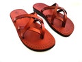 Brown Genuine Leather Sandals for Women, Women's Summer Sandals, Ladies Flip-Flops, Flats, Thongs, Comfort Walking, CRISSCROSS product logo