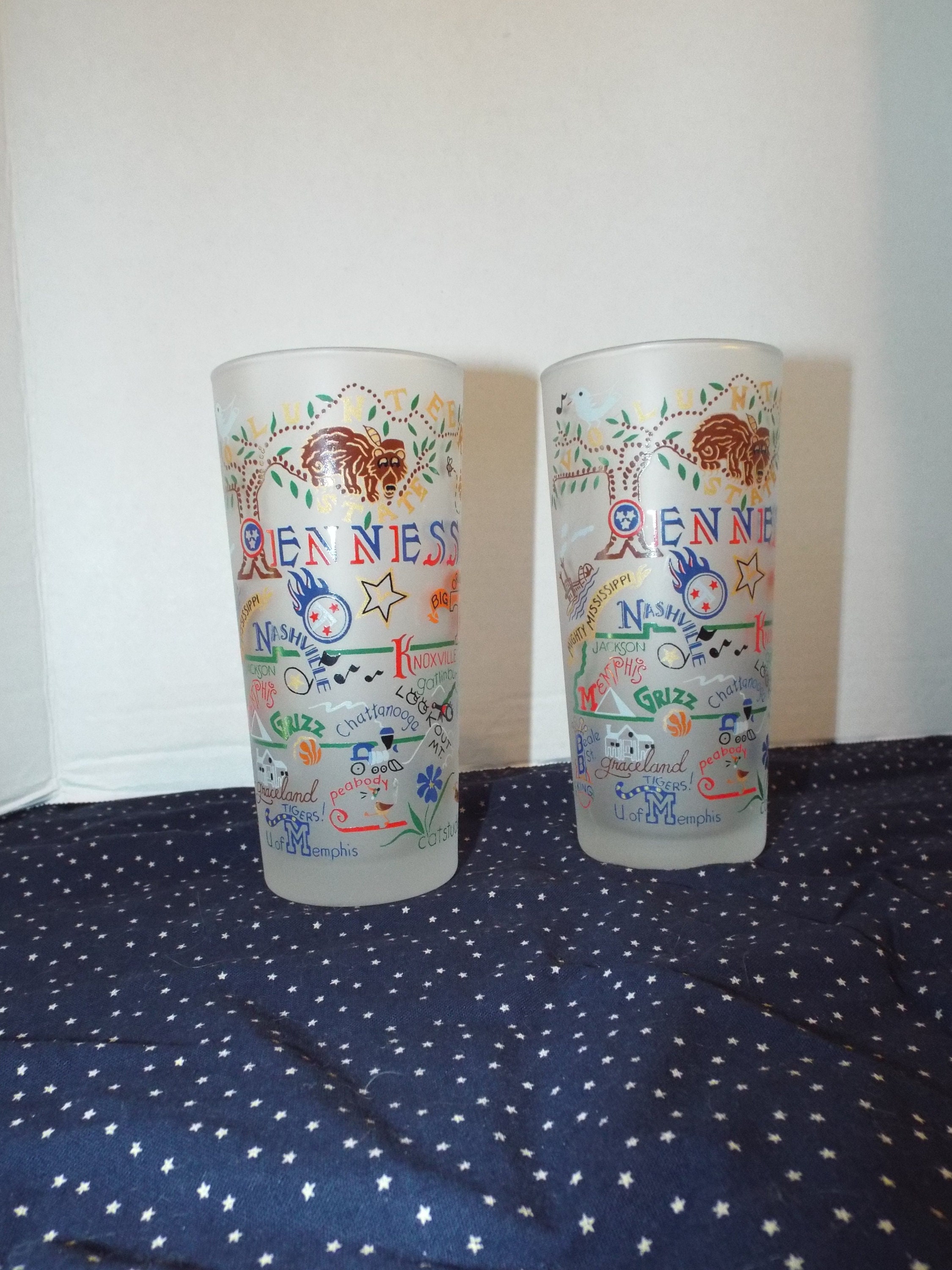 Kitschy Tennessee Glasses Frosted Barware Glasses Etsy