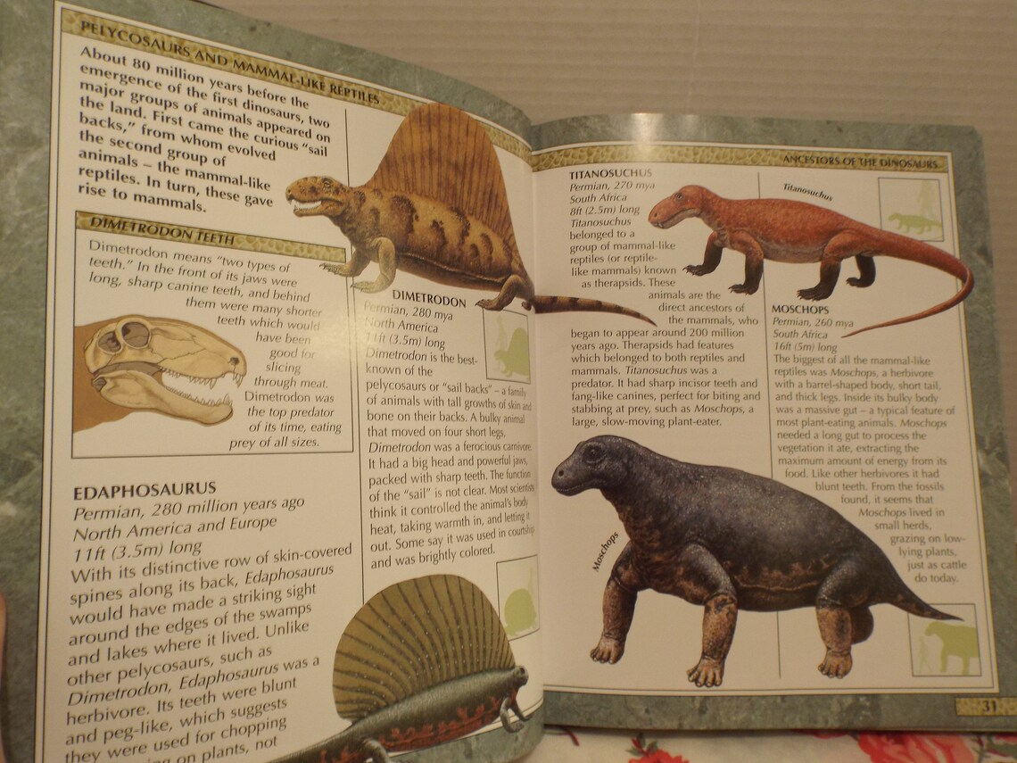 encyclopedia of dinosaurs and other prehistoric creatures