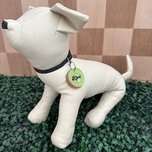 Custom Dog Tag - Kiwi Dog tag - Pet tag