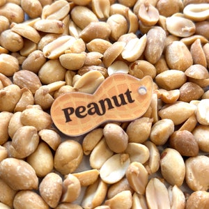 Peanut Dog tag - Pet tag - Pet Id Tag - dog Id tag