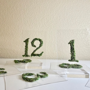 Moss Table Numbers on Acrylic