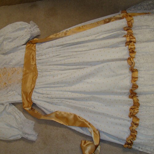 Historical Woman Costume Gown 1800s Large Size Southern Belle 