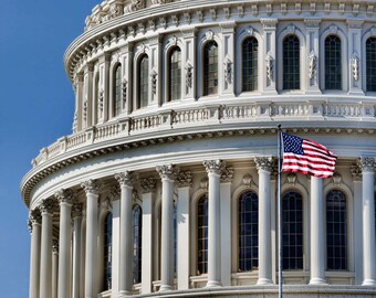 Washington DC Photograph, US Capitol Building, Dome, Wall decor, Wall Art, DC decor, Print, Fine Art, Blue Sky, Patriotic Print