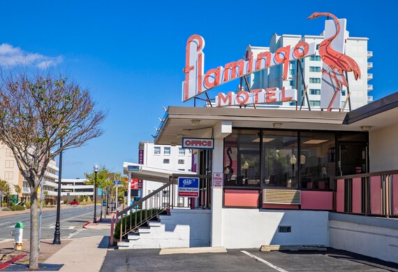 Americana Photo Flamingo Motel Ocean City Maryland Retro | Etsy