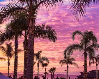 Coronado Island Photo, San Diego Photography, California Print, Palm Trees, Ocean, Coastal Sunset, California Wall Art, Wall Decor, Pink