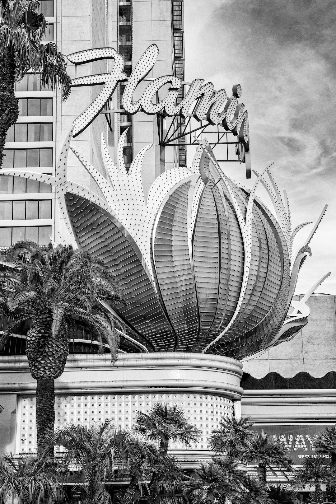 Flamingo Hotel Casino Las Vegas Photo Travel Print Black 