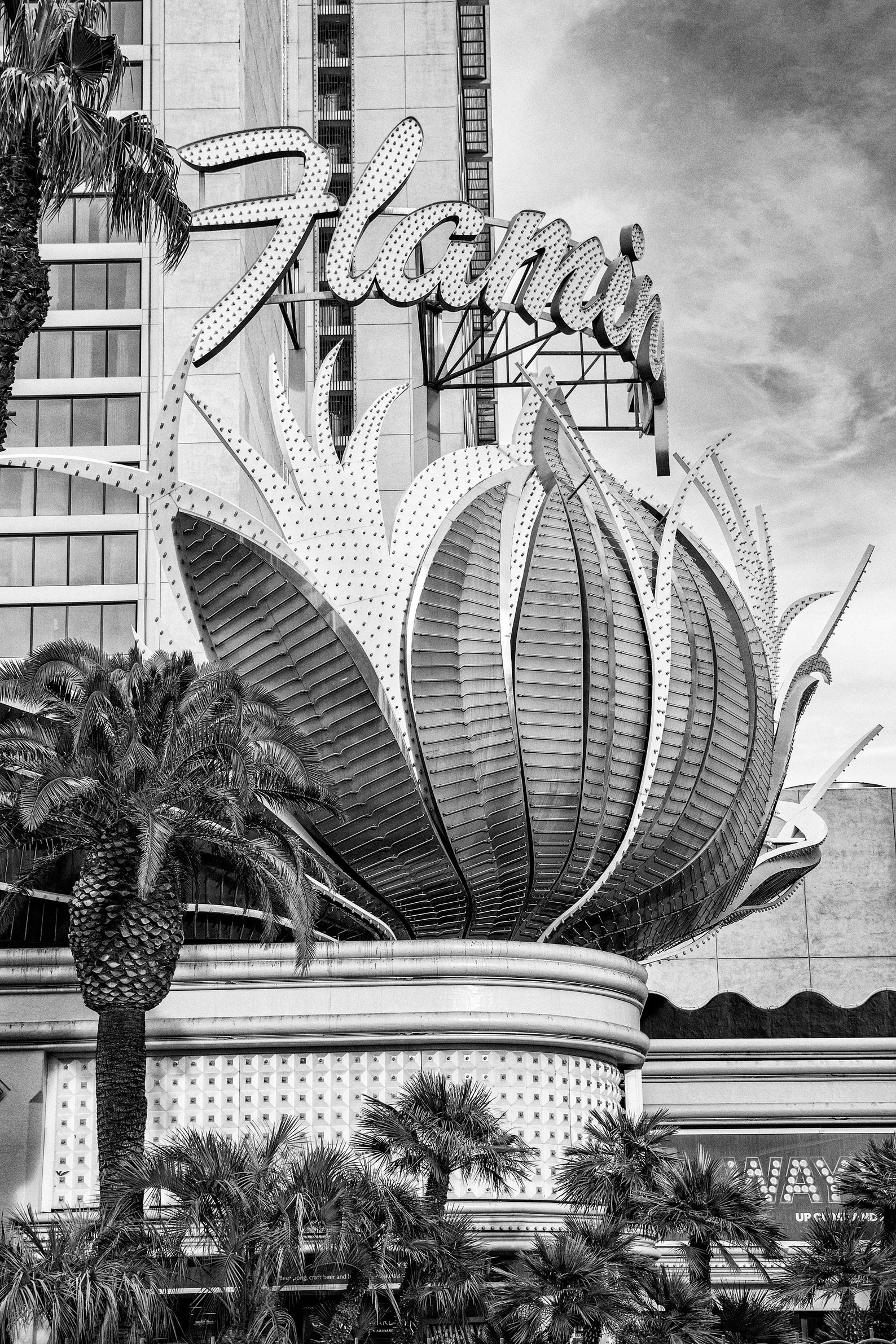 Flamingo Hotel Casino Las Vegas Photo Travel Print Black - Etsy