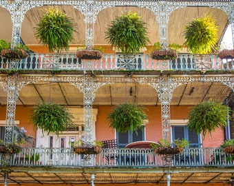 New Orleans French Quarter, NOLA photo, New Orleans Balcony, Wall Decor, Wall Art, Travel Print, Hanging Plants, Wrought Iron, Architecture
