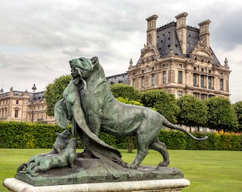 Paris Photography, Tuileries Garden, Bronze Statue, Lion and Cubs, French Wall Art, Parisian  Decor, Architecture, Animal Sculpture