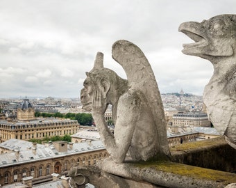 May include: Two stone gargoyles perched on a building overlooking a cityscape. The gargoyles are weathered and have a detailed design. The city in the background is Paris, France.