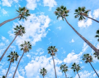 Santa Barbara Photograph, California Coast, Palm Trees, California Wall Decor, Wall Art, Santa Barbara Sky, Travel Print