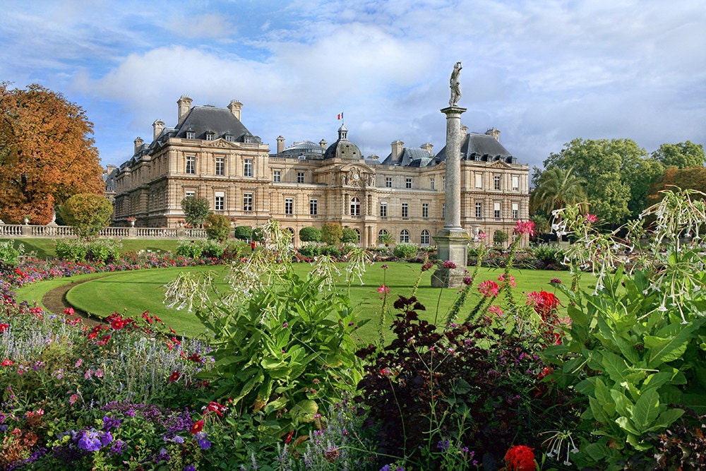 Paris Photography, Luxembourg Gardens, French Wall Art, Paris Decor, Parisian Gardens, Travel Print, Wall Decor