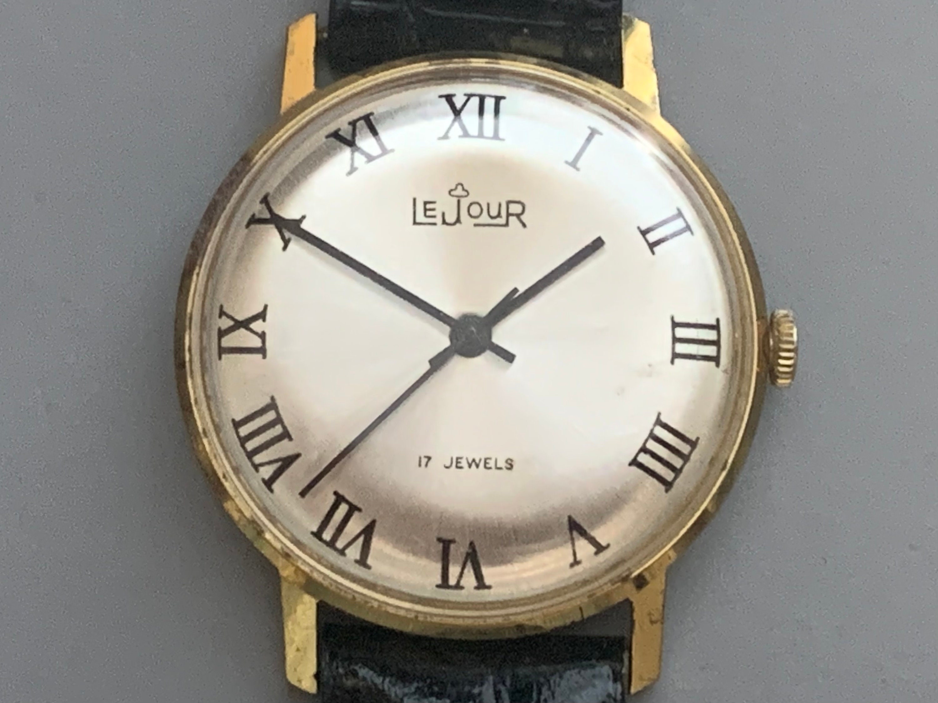 Le jour top vintage diver review