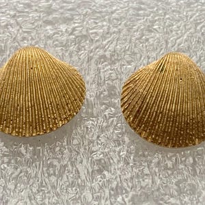 SEASHELL Gold Plated Stud Earrings Estate Jewelry Fresh to Market | Click Item Details