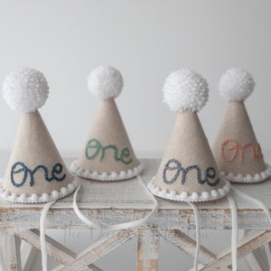 PARTY HAT Embroidered letters. party hat. birthday hat. photo prop, cone hat