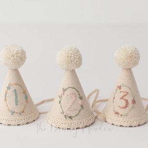 PARTY HAT. Floral frame. party hat. birthday hat. photo prop. hand embroidered hat.