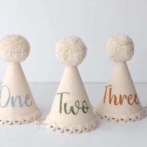 PARTY HAT. Jamie hat. party hat. hand embroidered hat. baby birthday hat.