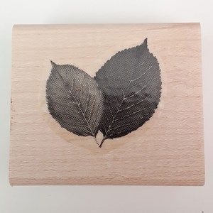 Rose Leaves Rubber Stamp retired from Stampin Up