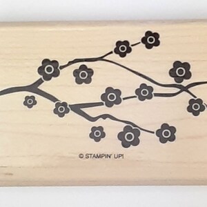 Branch and Blossoms Rubber Stamp retired from Stampin Up