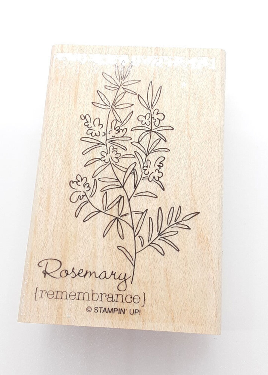 Rosemary Remembrance Rubber Stamp Retired From Stampin Up Etsy