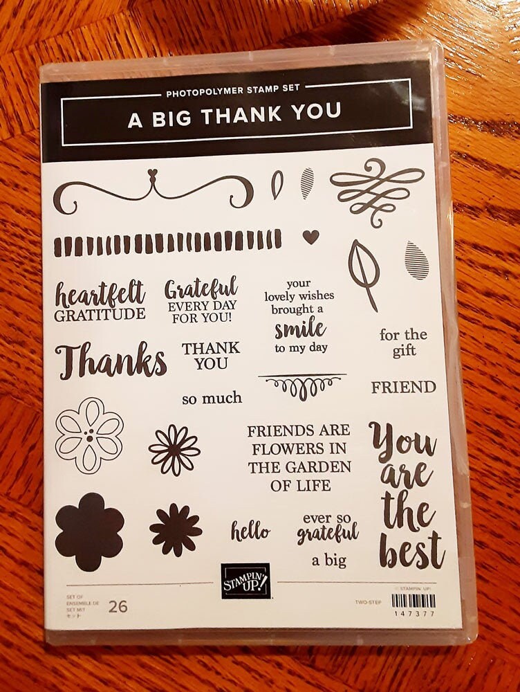 A Big Thank You Photopolymer Rubber Stamp Set From Stampin Up - Etsy