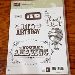 You're Amazing Clear Mount Rubber Stamp Set retirado de Stampin Up