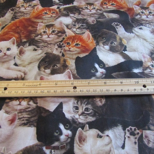 Multicolored Quilting Treasures Literary Kittens Cotton Fabric By the Yard