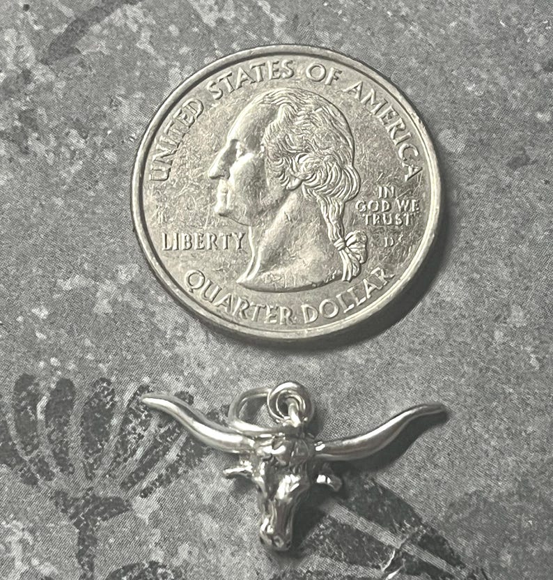 May include: Silver charm of a longhorn steer head with large horns. The charm is about the size of a US quarter.