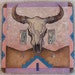 Southwestern Buffalo Skull Switchplate Cover – Double Toggle